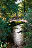 Bach, Brücke, Naturschutzgebiet grünes Band, Harz, Sachsen-Anhalt, Deutschland