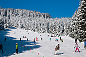 Kinder beim Skifahren, Wurmberg, Braunlage, Harz, Niedersachsen, Deutschland