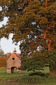 Taubenhaus und alte Eiche im Garten des Chastleton House bei Sonnenuntergang, Gloucestershire, Cotswolds, England, Großbritannien, Europa