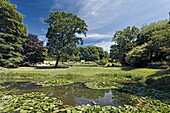 Teich und Bäume im Sonnenlicht, Roccoco Gardens, Painswick, Gloucestershire, Cotswolds, England, Großbritannien, Europa