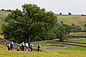 Wanderer im Yorkshire Dales Nationalpark, Yorkshire Dales, Yorkshire, England, Großbritannien, Europa