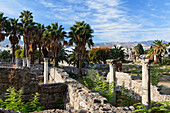 Excavations of the antique town of Agora, Kos town, Kos, Dodecanese Islands, Greece, Europe