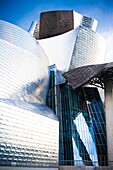 Guggenheim Museum, Bilbao, Biscay, Basque Country, Spain