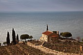 Elba Island, italy