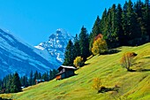 The Gspaltenhorn in the Swiss Alps seen from Murren, Canton Bern, Switzerland