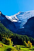 Grindelwald, Swiss Alps, Canton Bern, Switzerland