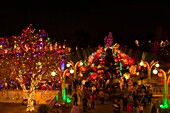 Blossoms of Light, one million lights illuminating the Denver Botanic Gardens during the holiday season, Denver, Colorado USA