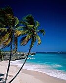 Barbados, bay, beach, bottom, breeze, Caribbean, is. Barbados, Bay, Beach, Bottom, Breeze, Caribbean, Holiday, Isolation, Landmark, Pair, Palm, Palm trees, Palms, Shore, Tourism, Tr