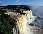 Brazil, falls, iguassu, Iguassu Falls, scenic, Sout. Brazil, Falls, Holiday, Iguassu, Landmark, Scenic, South america, Tourism, Travel, Vacation, Waterfalls
