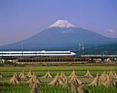 Field, fuji, Japan, Asia, mountain, train, volcano, . Asia, Field, Fuji, Holiday, Japan, Landmark, Mountain, Tourism, Train, Travel, Vacation, Volcano