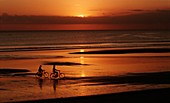 Couple Cycling on Beach, Sea, Sunset, . Beach, Couple, Cycling, Holiday, Landmark, Sea, Sunset, Tourism, Travel, Vacation