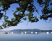 Cumbria, England, Lake District, Windermere Lake, . Cumbria, England, United Kingdom, Great Britain, Holiday, Lake district, Landmark, Tourism, Travel, Vacation, Windermere lake
