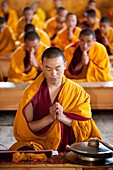 Monks chanting in the temple