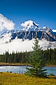 Athabasca River and the Canadian Rocky Mountains in the Jasper National Park, Alberta, Canada