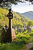 Tombstones in the graveyard of Glendalough, County Wicklow, Ireland, Europe