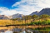 Derryclare Lough and Benna Beola, Connemara, County Galway, Ireland, Europe