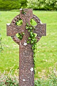 Overgrown celtic cross at a graveyard, Ireland, Europe