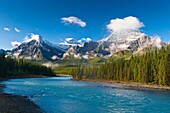 Athabasca River and the Canadian Rocky Mountains in the Jasper National Park, Alberta, Canada