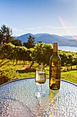 A bottle and a glass of white wine at a vineyard in the Okanagan Valley, British Columbia, Canada