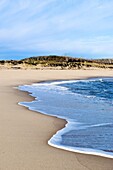 Head of Meadow Beach, Truro, Cape Cod, MA