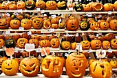 Pumpkin festival, Keene, Cheshire County, New Hampshire, NH, USA