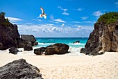 Astwood Cove beach, Bermuda