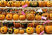Pumpkin festival, Keene, Cheshire County, New Hampshire, NH, USA