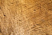 the Chariots, rock drawings since the Egyptian period, Negev, Israel, Middle East, Western Asia