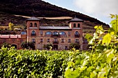 Monjardin vineyard, Navarra  Spain