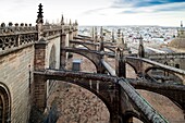 Flying buttresses on the roof of Santa Maria de la Sede Cathedral, Seville, Spain