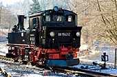 steam locomotive, Steinbach - Jöhstadt, Germany