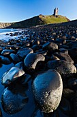 Dunstanburgh Castle, with basalt boulders on beach, autumn, Northumberland, England