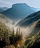 Early morning mist in the Koskaraka Gorge, in the foothills of the Taygetus mountains, Outer Mani, Peloponnese, Greece