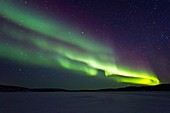 Aurora Borealis Northern Polar Lights over the boreal forest outside Yellowknife, Northwest Territories, Canada, MORE INFO The term aurora borealis was coined by Pierre Gassendi in 1621 from the Roman goddess of dawn, Aurora, and the Greek name for north