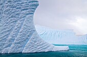 Iceberg detail in and around the Antarctic Peninsula during the summer months, Southern Ocean  MORE INFO An increasing number of icebergs is being created as climate change is causing the breakup of major ice shelves and glaciers
