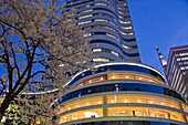 A cherry tree in full bloom accents the sleek architecture in Chanter Plaza at twilight in the Yurakucho District of Tokyo, Japan.