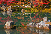 Autumn colors reflect in the still pond of Sogen Garden at Tenryuji Temple, located in the Arashiyama district of northwestern Kyoto, Japan.