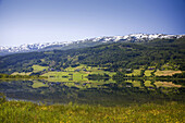 Norway-June 2009 Voss City Vangsvatnet Lake