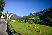 Italia, October 2009 Dolomite Alps Funes Valley