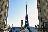 France, Ile-de-France, Capital, Paris, 4th, City center, Notre-Dame, Tour(Tower, Ballot)