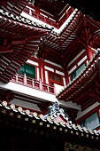 Buddha's tooth relic temple. Singapore. (Singapour, Singapour)