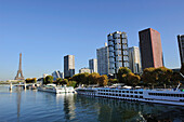 France, Ile-de-France, Paris, 15th, Bank of the Seine, Forehead(Front) of the Seine, District Beaugrenelle, Gone from Swans