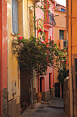 France, Languedoc Roussillon, Pyrénées Orientales (66), Collioure, old district of fisherman