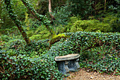 The Japanese Garden, Nr Newquay, Cornwall, England