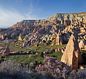 Tufa erosion in the Rose Valley, near Goereme, Goereme National Park, UNESCO World Nature Site, Cappadocia, Anatolia, Turkey
