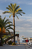 Marina, Port d Alcudia, Alcudia, Majorca, Spain