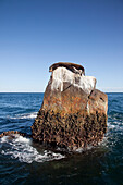 Ein Seelöwe entspannt sich auf einem Felsen nahe Lands End, Cabo San Lucas, Baja California, Mexiko, Mittelamerika