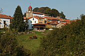 Horreo, traditionelles Speicherhaus, Maisspeicher, Torazo, bei Infiesto, Provinz Asturias, Principado de Asturias, Asturien, Nordspanien, Spanien, Europa