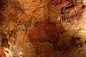 Bison, prähistorische Malerei, Höhlenmalerei, ca 25 000 v Chr, Cueva de Altamira, Höhle bei San Santillana del Mar, Kantabrien, Replika, Parque de la Prehistoria de Teverga, Prähistorischer Park von Treverga, Teverga, Provinz Asturias, Principado de Astur