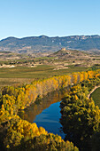 Rio Ebro, Fluss, Weinberge, bei Haro, La Rioja, Nordspanien, Spanien, Europa